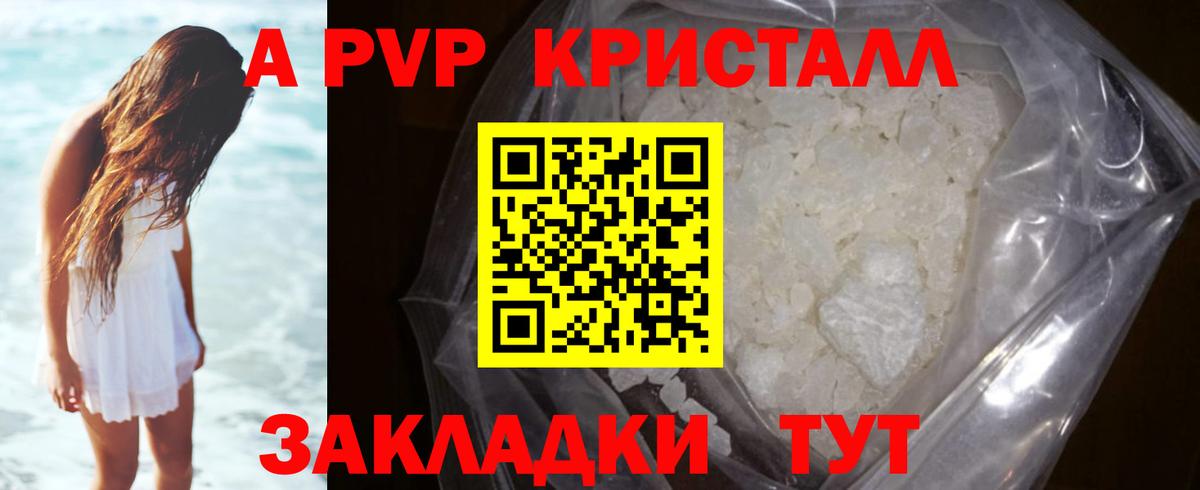 Альфа ПВП СК Кандалакша