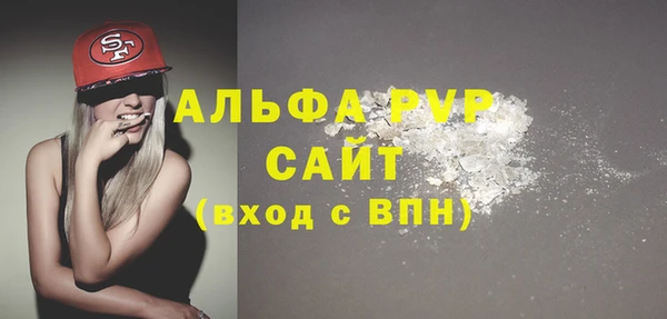 индика Михайловск