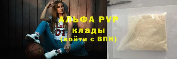 индика Михайловск