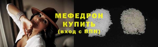 индика Михайловск