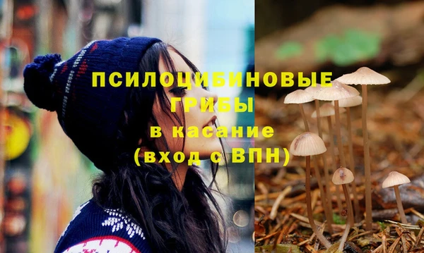 прущие крисы Медногорск