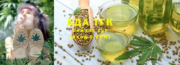 индика Михайловск