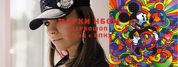 хмурый Надым