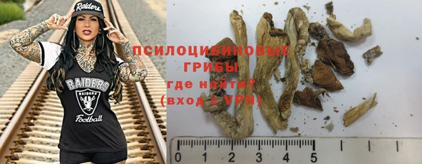 индика Михайловск