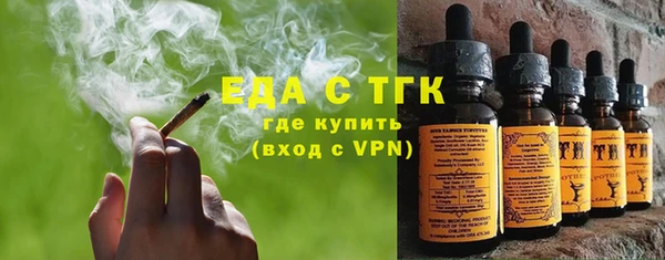 индика Михайловск