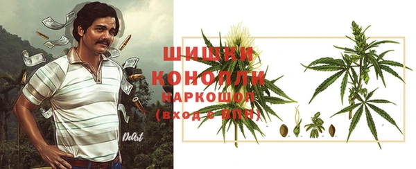 индика Михайловск