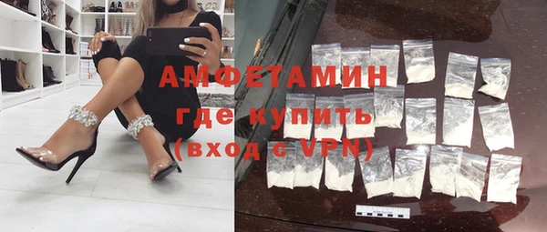индика Михайловск