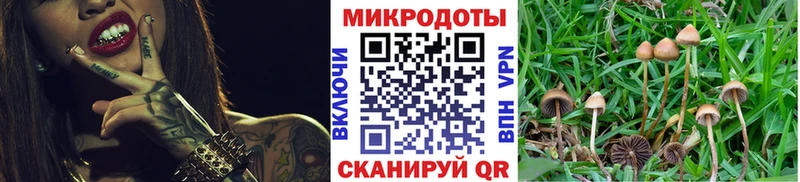 Галлюциногенные грибы мухоморы  Кандалакша 