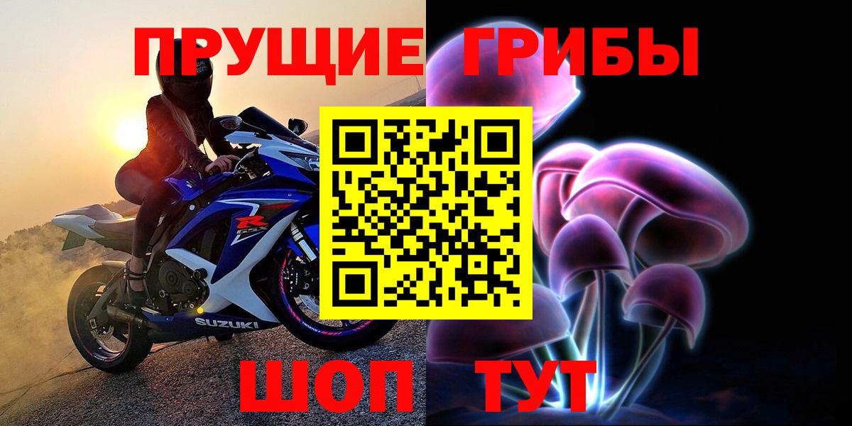 Галлюциногенные грибы мицелий Кандалакша